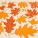 Noon Designs Organic Kitchen Towel / Fall Leaves