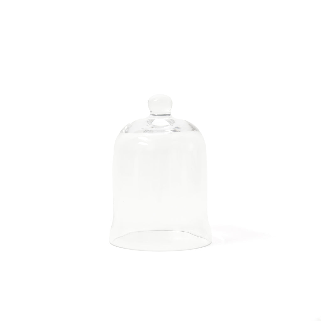 Bell Shape Glass Cloche / Medium