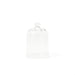 Bell Shape Glass Cloche / Medium