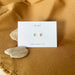 Cast Common Milkweed Seed Studs