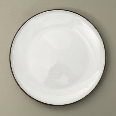 Tundra Speckled Dinner Plate