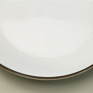 Tundra Speckled Dinner Plate