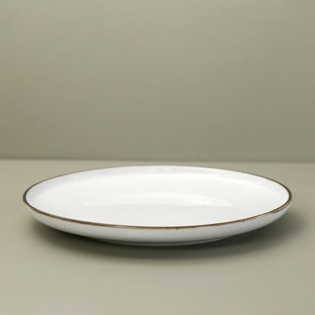 Tundra Speckled Dinner Plate