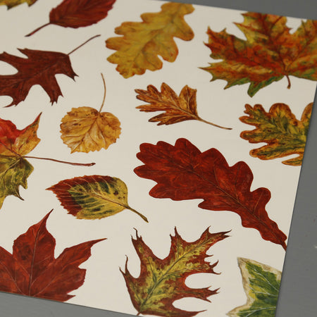 Paper Placemat Pack / Fall Foliage