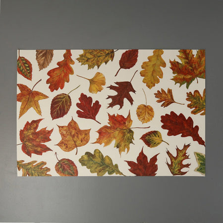 Paper Placemat Pack / Fall Foliage