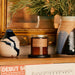 P.F. Candle Co. Candle / Spruce (Limited)