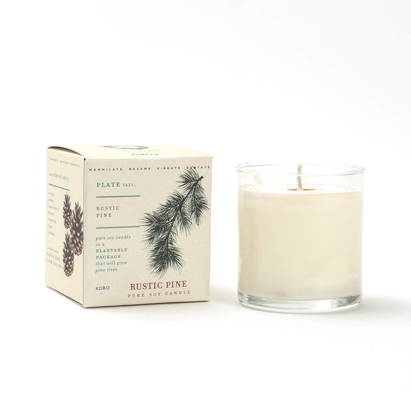 Plantable Box Seed Candles / Rustic Pine