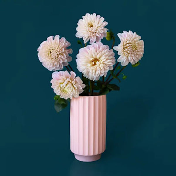 Monroe Vase / Petal Pink