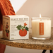 Plantable Box Seed Candles / Half Moon Pumpkin FINAL SALE