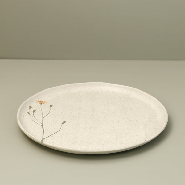 Bio Stoneware Campestre Dinner Plate