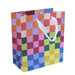 Designer Gift Bag / Rainbow Check Print