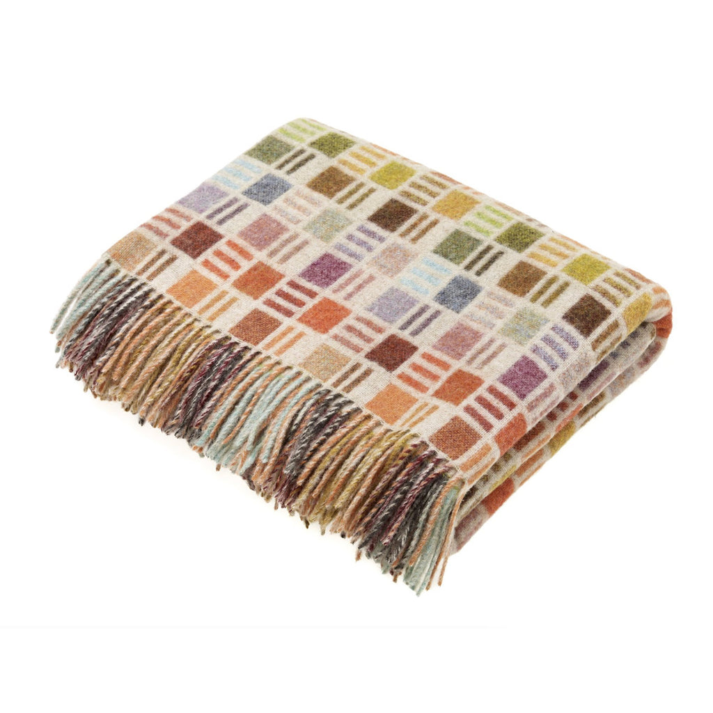 Merino Wool Throw Blanket / Ribbon Multi