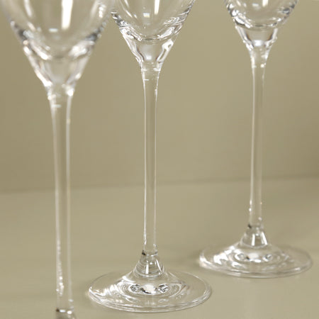 RONA Celebration Champagne Flute / Set of 6