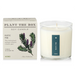 Plantable Box Seed Candles / Rustic Pine