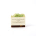 Soapy Girl African Black Soap / Silk Black Tea