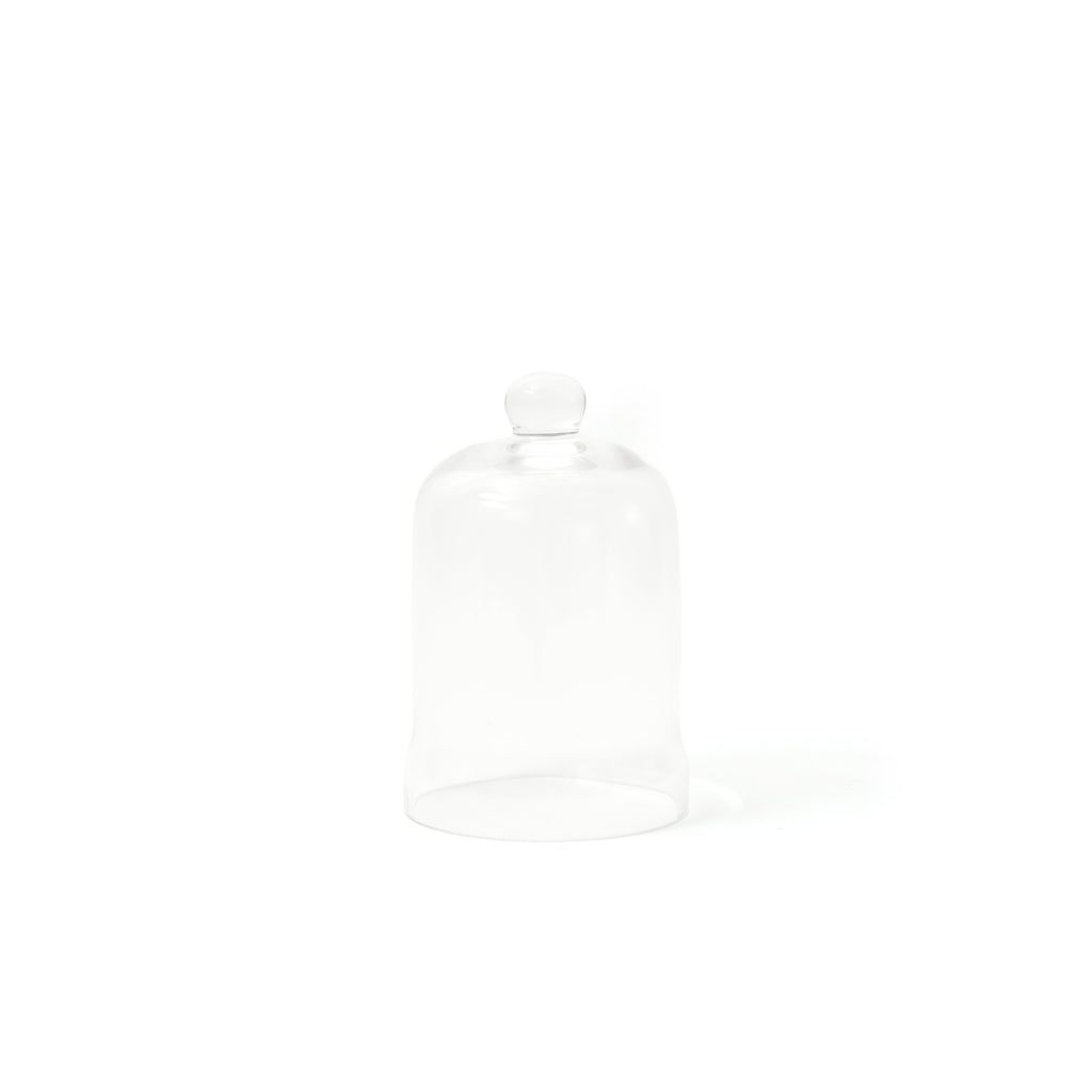 Bell Shape Glass Cloche / Small