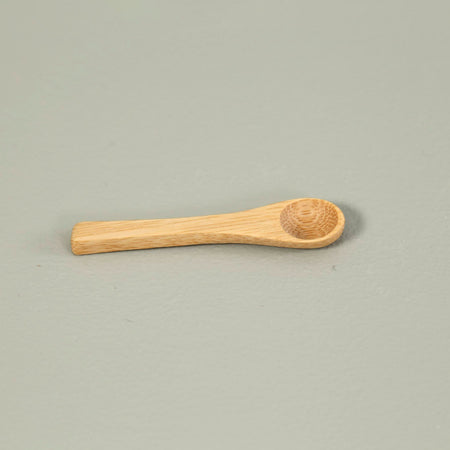 Mini Bamboo Spice Spoon