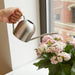 Indoor Watering Can / Stainless