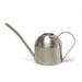 Indoor Watering Can / Stainless