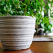 Large Handmade Planter / Stripes
