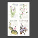 2027 A Year in Botanical Art Calendar by Susan Lanzano