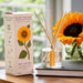 Plantable Box Reed Diffuser / Sweet Sunflower