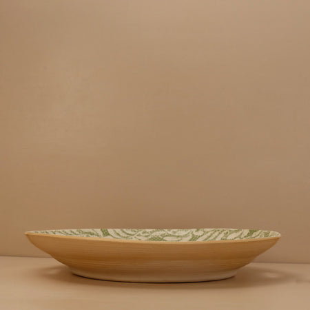 Terrafirma Presentation Bowl / Arbor / Citrus