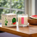 Plantable Box Seed Candles / Ripe Watermelon