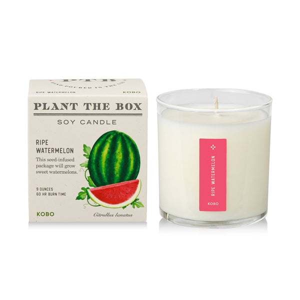 Plantable Box Seed Candles / Ripe Watermelon