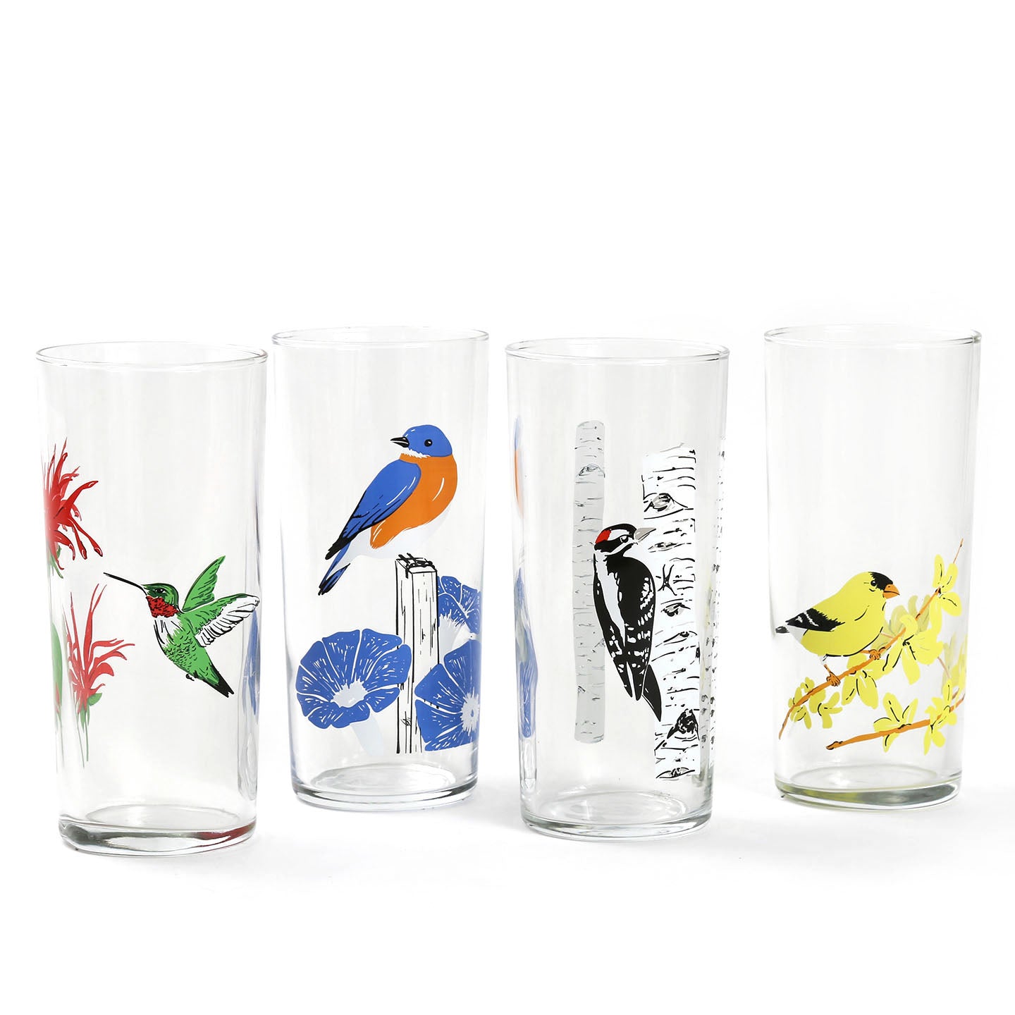 Tropical Birds Decorative Wine Glass Set