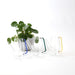 Glass Watering Jug / Green