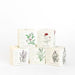 Plantable Box Seed Candles / Somerset Thyme