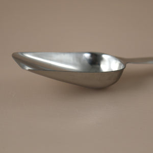 Stainless Steel Ice Scoop