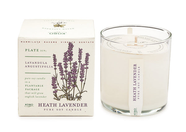 Plantable Box Seed Candles / Heath Lavender