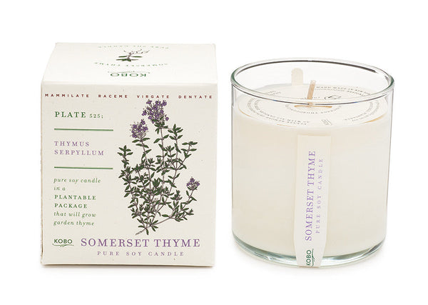 Plantable Box Seed Candles / Somerset Thyme
