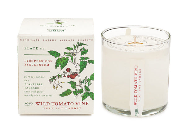 Plantable Box Seed Candles / Wild Tomato Vine