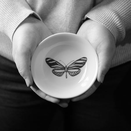 Laura Zindel Sauce Bowl / Zebra Butterfly