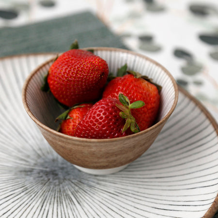 Tokusa Ceramic Rice Bowl