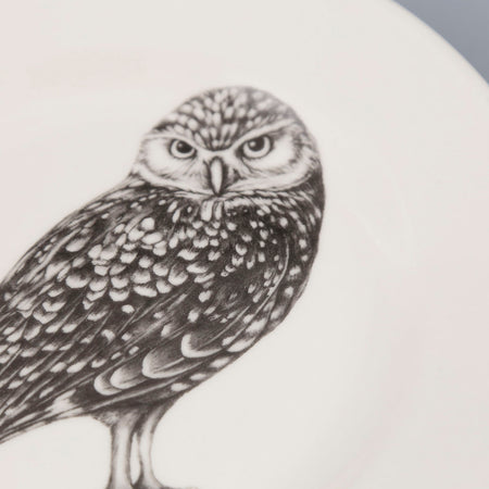 Laura Zindel Bistro Plate / Burrowing Owl