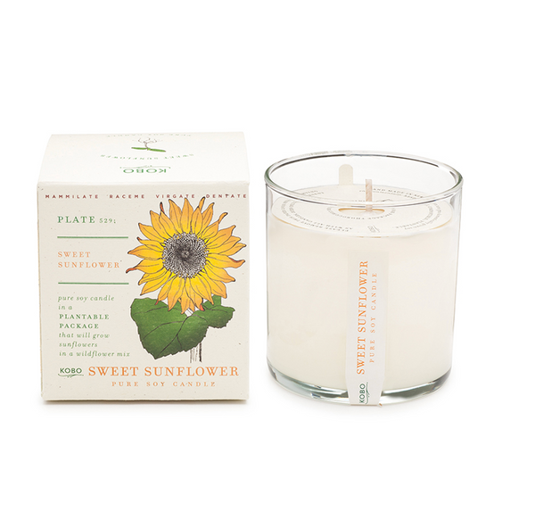 Plantable Box Seed Candles / Sweet Sunflower