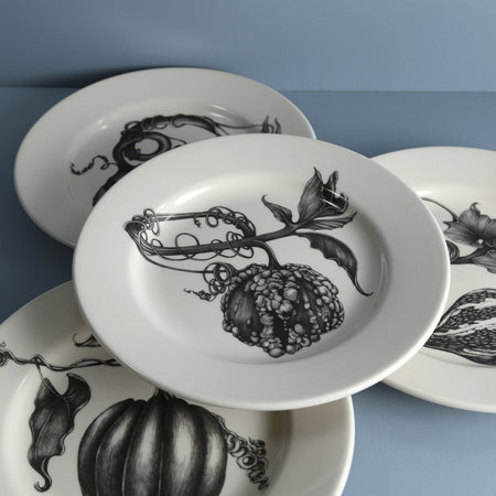 Laura Zindel Dinner Plate / Turk Gourd