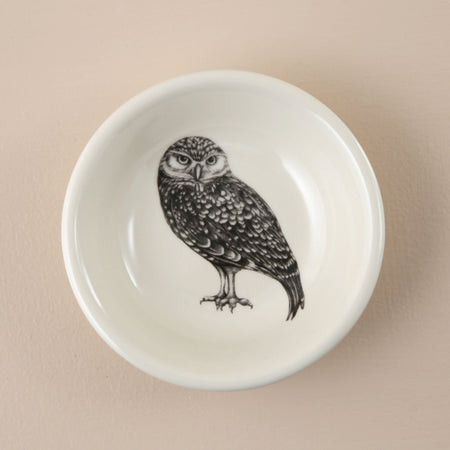Laura Zindel Sauce Bowl / Burrowing Owl