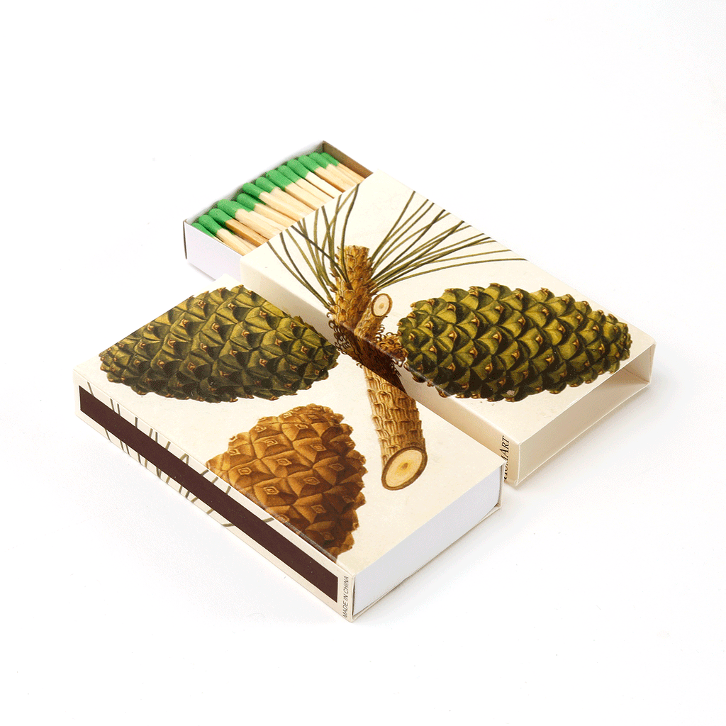Holiday Design Matchboxes / Pine Cones