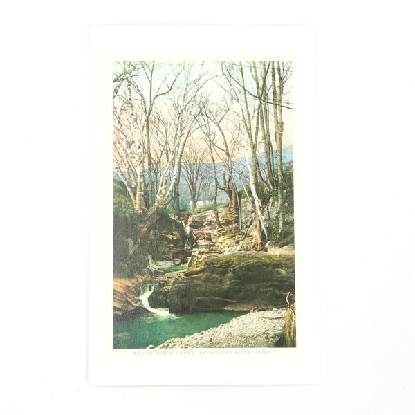 Vintage Style Berkshires Postcard / Rocks & Birches