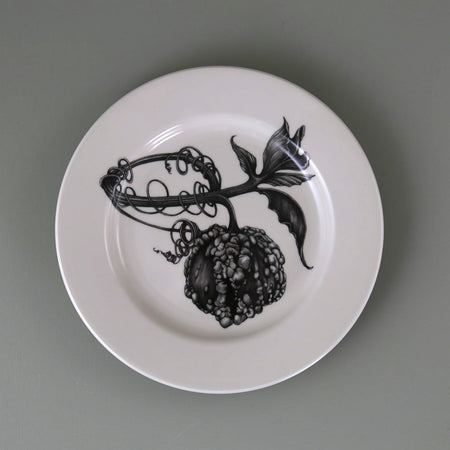 Laura Zindel Dinner Plate / Warty Gourd